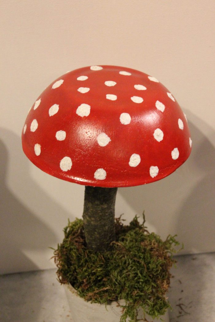 Schwammerl L