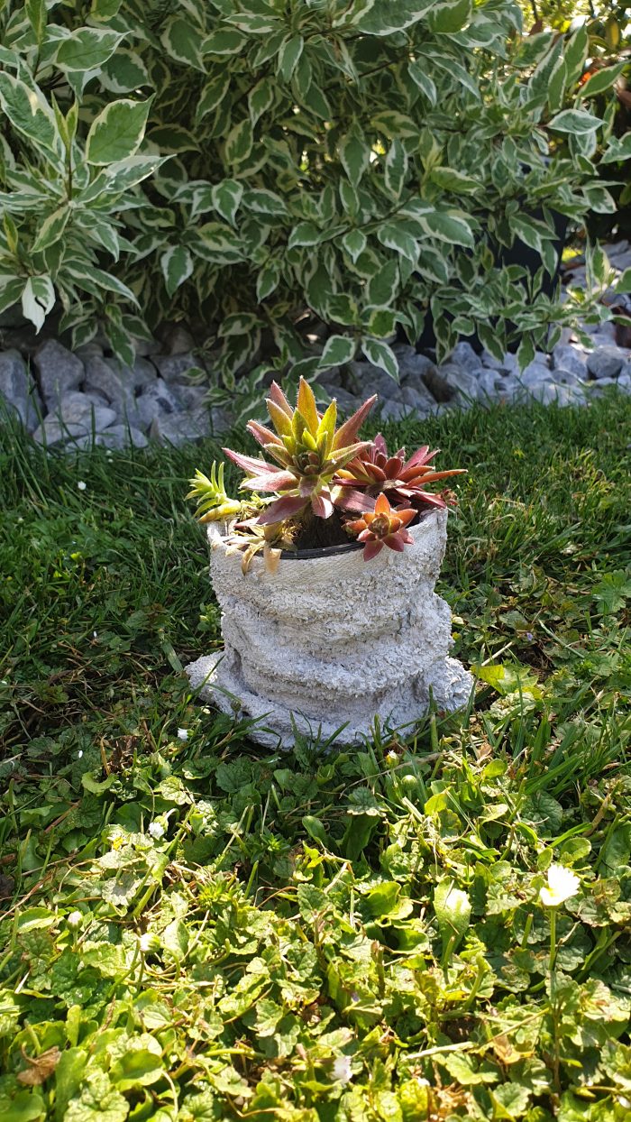 Blumentopf – Bild 5